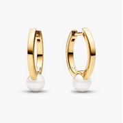 sterling silver Snow Crown earrings